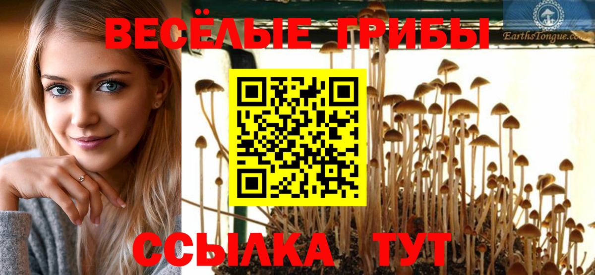 Псилоцибиновые грибы прущие грибы  Вход с VPN  Гай 