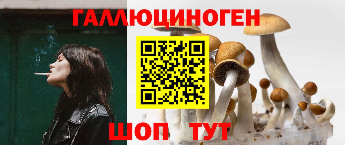 Псилоцибиновые грибы Psilocybe Гай